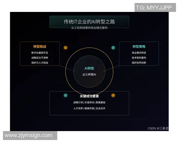 武汉排球队的转型之路：从传统强队到现代化竞技新标杆的探索与挑战